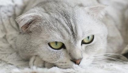 世界杯高清直播-【早报】勒夫继续执教德国队！拜仁：弗利克保住了...