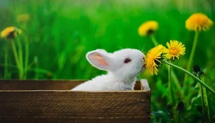 世界杯手机观看-克洛普：前锋线防守做得很出色 凯塔受伤于事无补